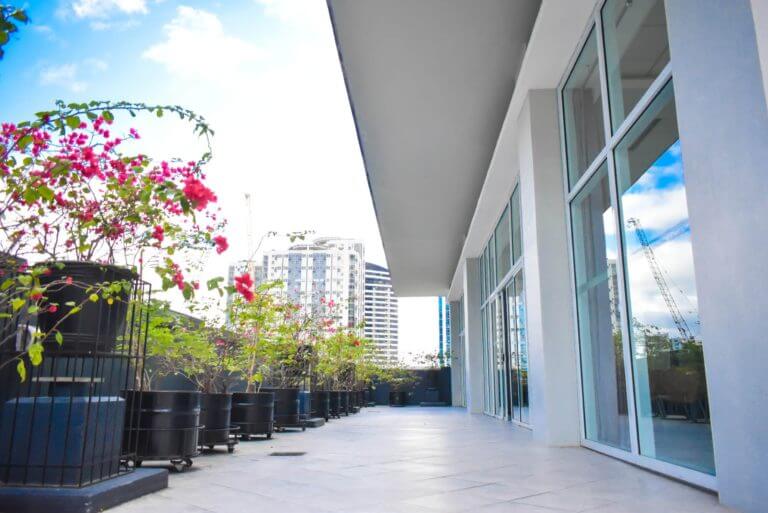 Roof Deck